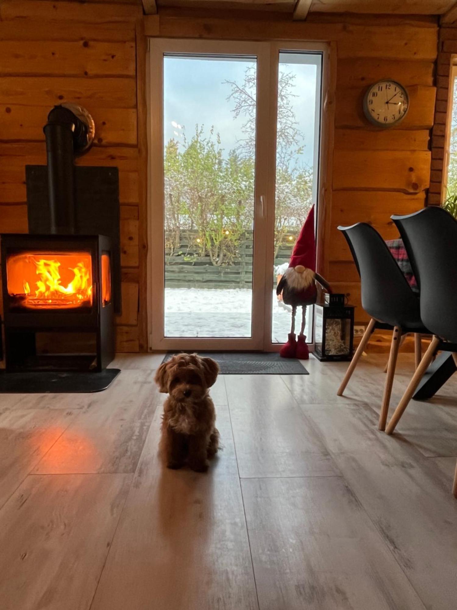 Pogodny Domek Kopalino Z Balia Jackowo Exteriör bild